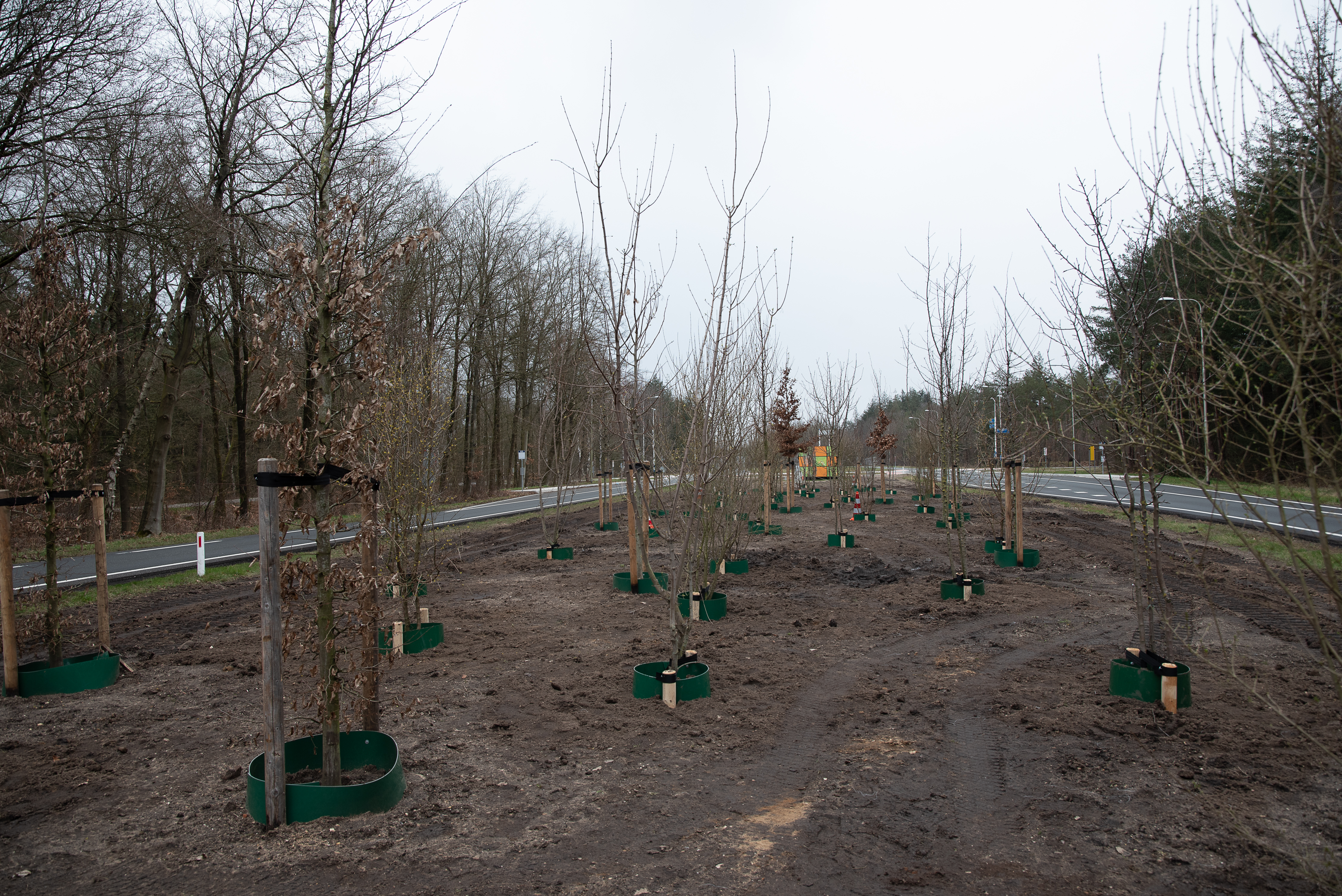 Berm N304 - Apeldoorn vergroend