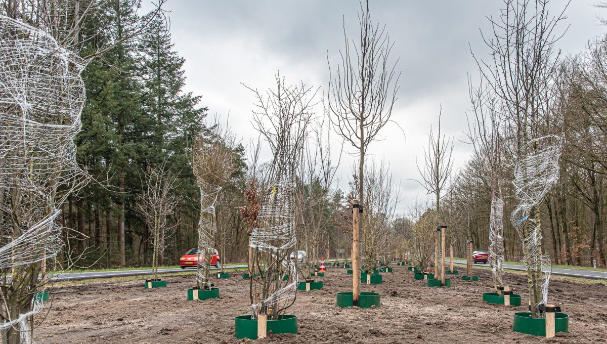 Overzicht project