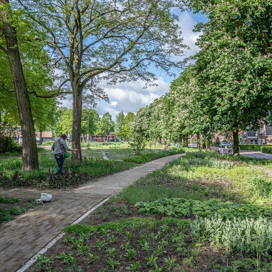 Remisepark 01