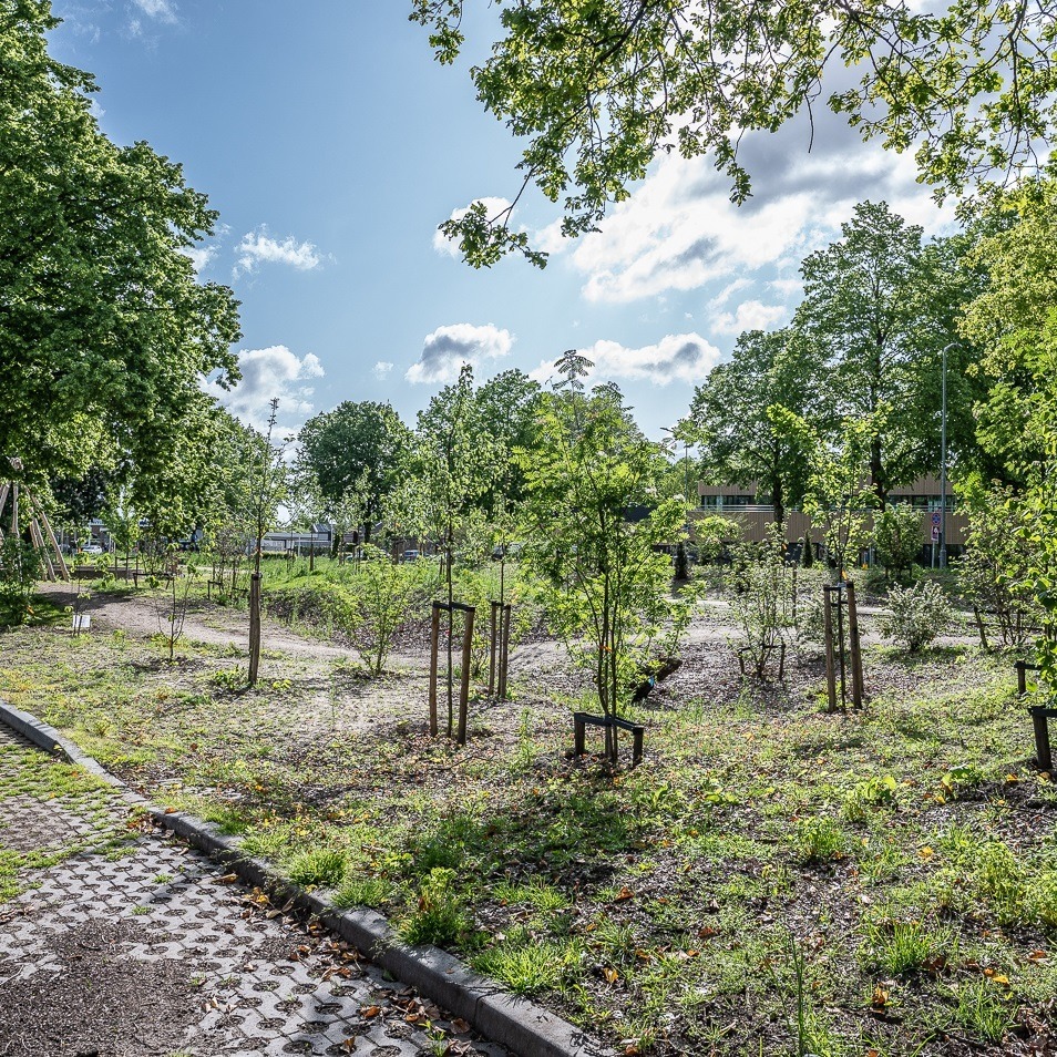 Remisepark 03