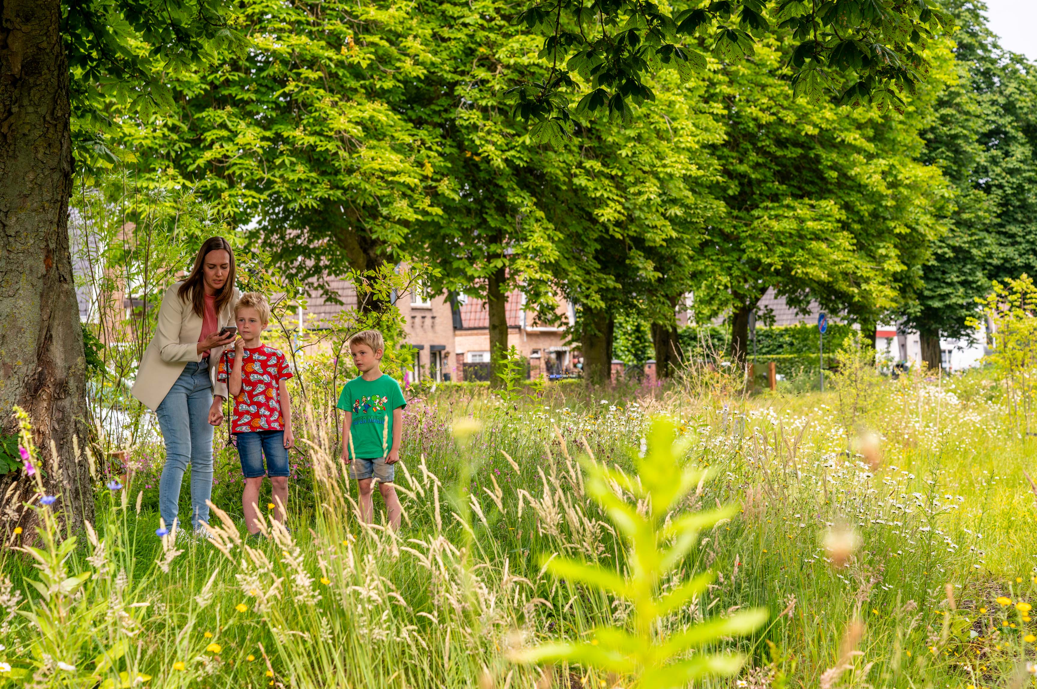 GroeneRuyt SpoorzoekerRemisepark
